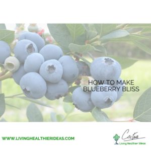 how_to_make_blueberry_bliss1