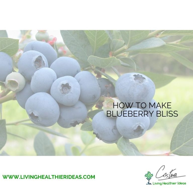 how_to_make_blueberry_bliss1