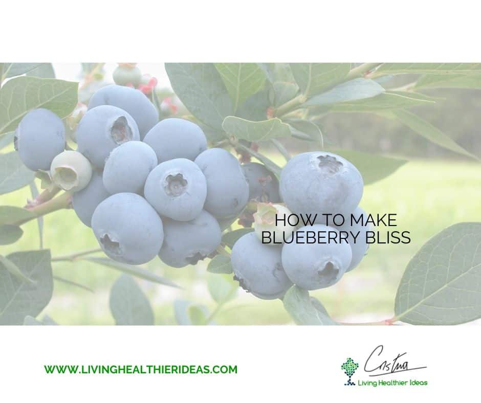 how_to_make_blueberry_bliss1