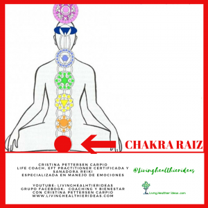 chakra raiz