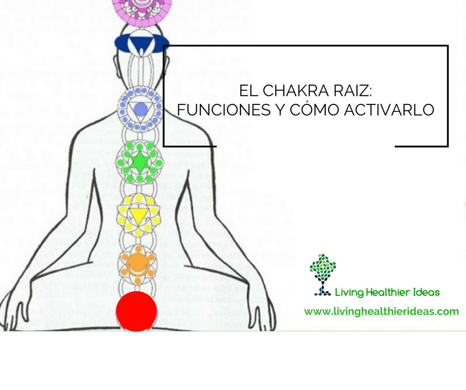 chakra raiz