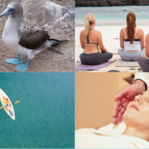 Image collage consisting of Blue-footed boobies, women meditating on a beach, a drone photo of a woman in a kayak, and a woman in a bathrobe lying on her back getting a neck massage.